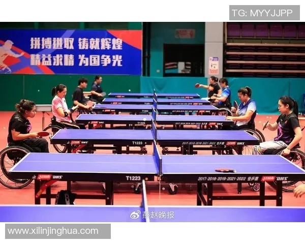 杭州羽毛球队挑战赛特别报道：奋勇拼搏铸就辉煌成就的历程回顾